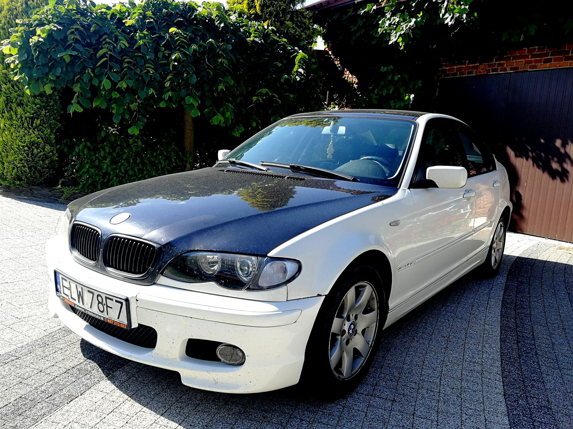  Chiptuning BMW E46 320d 150 KM